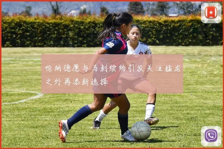 伦纳德愿与马刺续约引发关注猛龙之外再添新选择