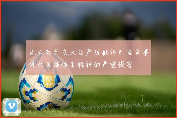 比利时外交大臣严厉批评巴洛贡事件对足球体育精神的严重侵害
